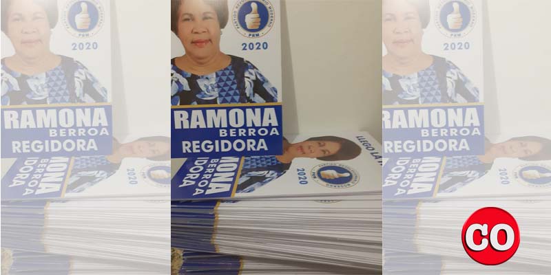 Afiches de Ramona Berroa